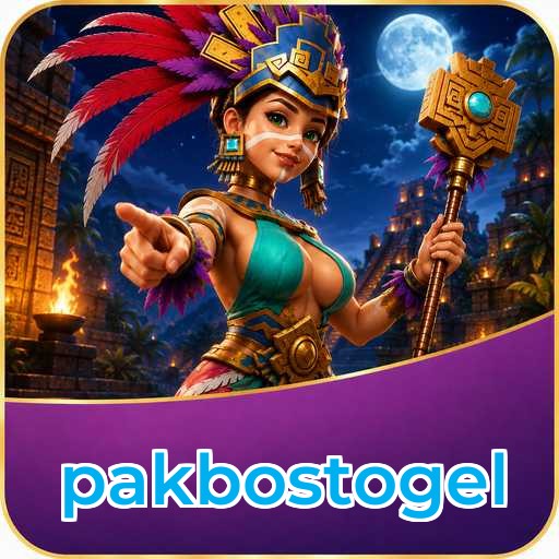 pakbostogel APK Structure